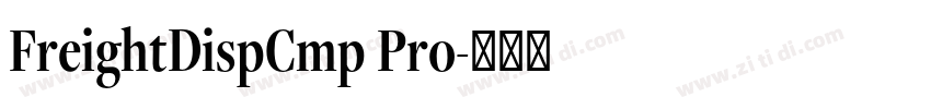 FreightDispCmp Pro字体转换